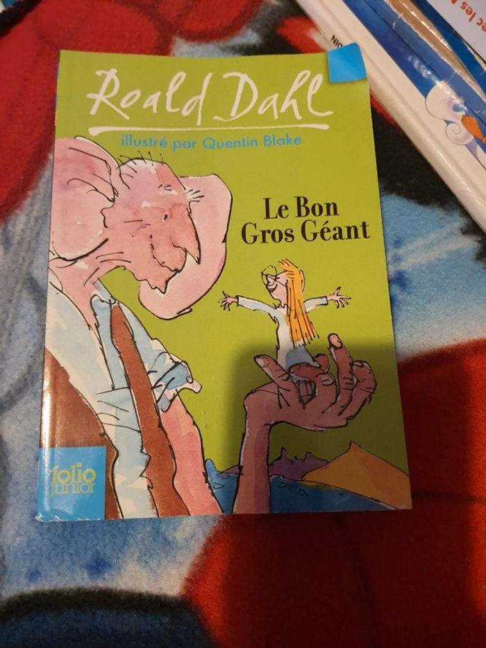 Le bon gros géant