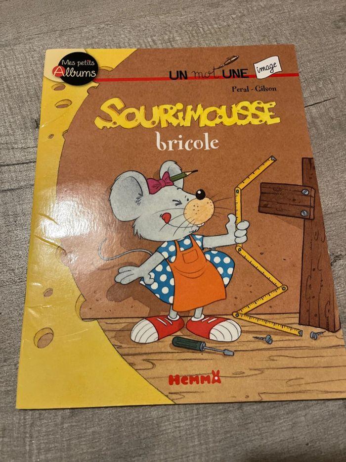 Livre sourimousse bricole - photo numéro 1