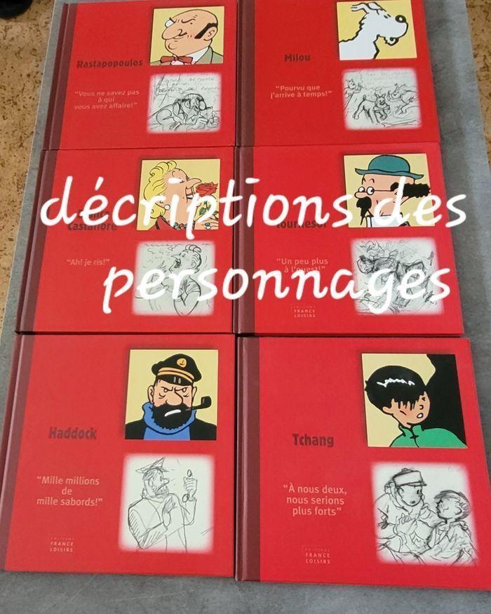 Collections albums des aventures de tintin - photo numéro 3