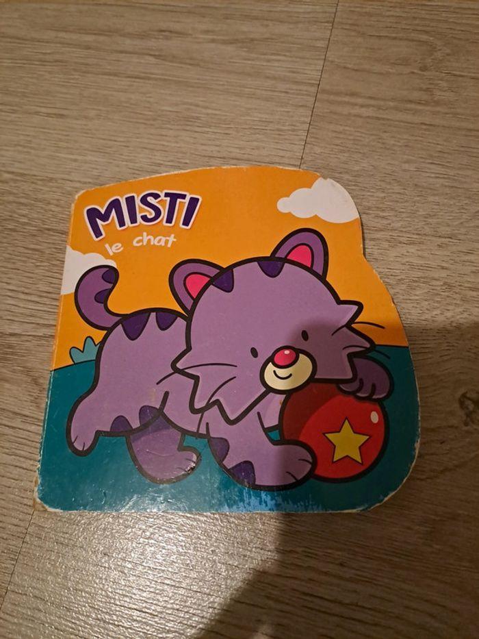 Misti le chat - photo numéro 1