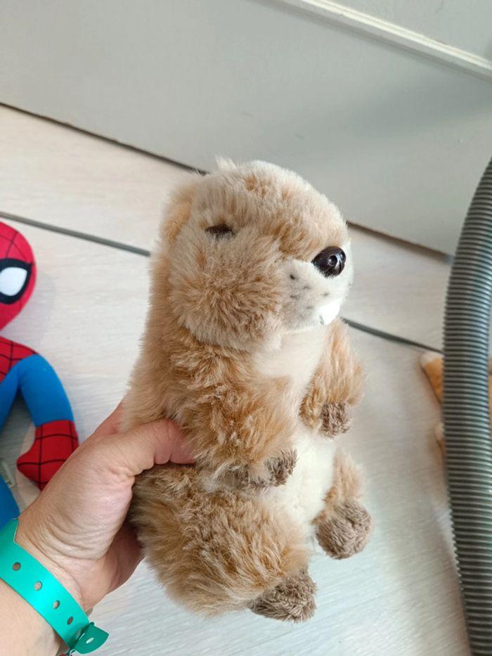 Peluche marmotte toute douce - photo numéro 1