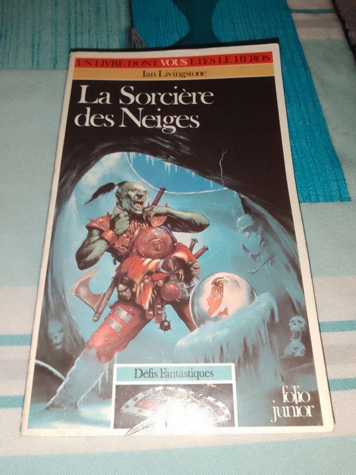 LDVELH "la sorcière des neiges" - photo numéro 1