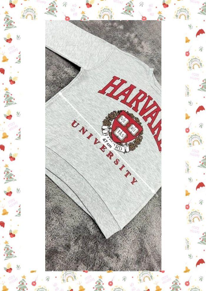 👕 Sweat à capuche Veste University Rare Vintage y2k 90s 2000s Harvard Gris Taille S 👕 - photo numéro 4