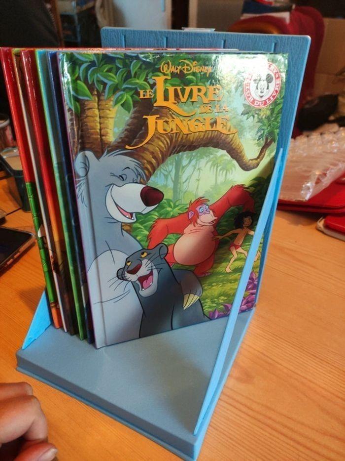 Collection livre Disney - photo numéro 2