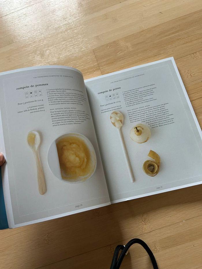 Mon livre de recettes pour bébé - photo numéro 5