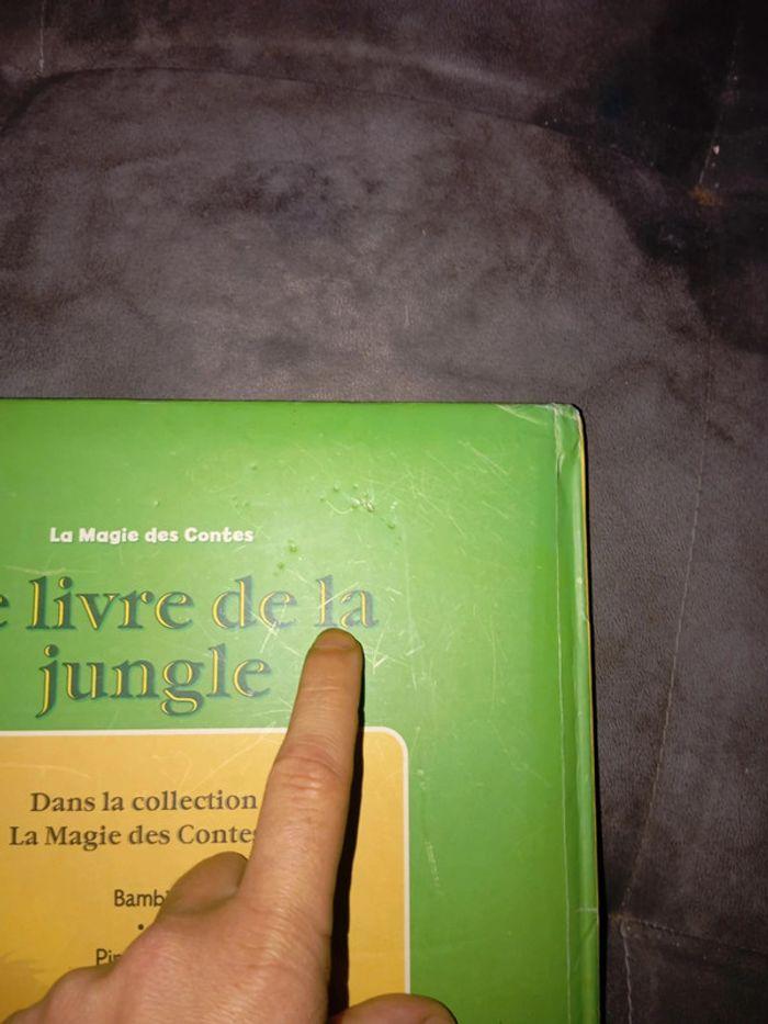 Livre du livre de la jungle - photo numéro 2