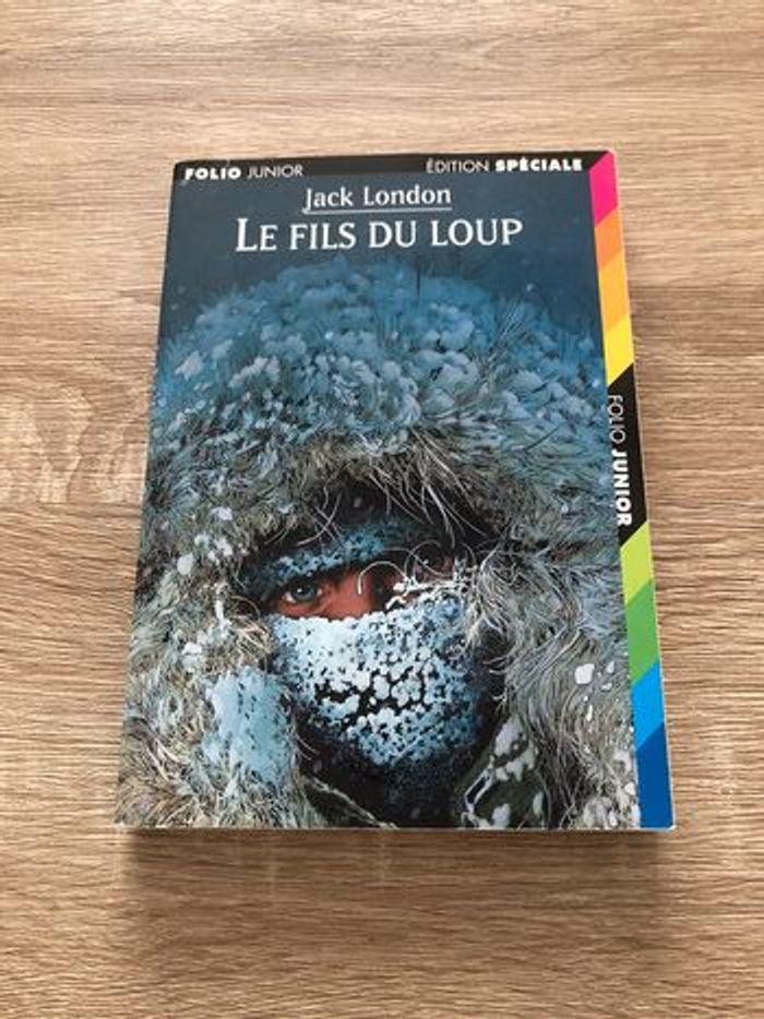 Livre Le fils du loup - photo numéro 1