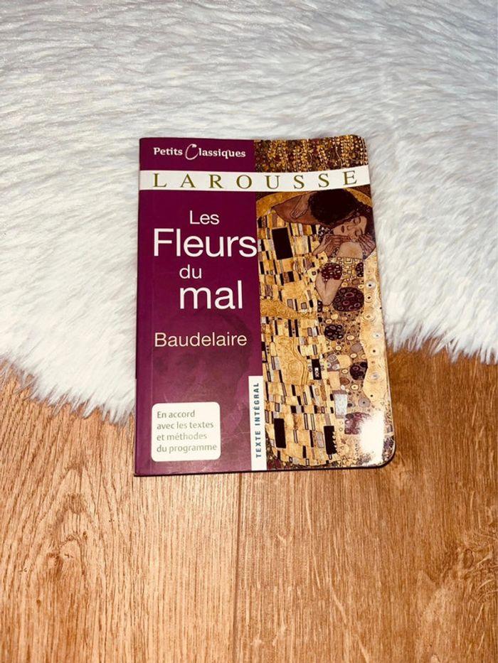 Livre Les Fleurs du Mal - photo numéro 1