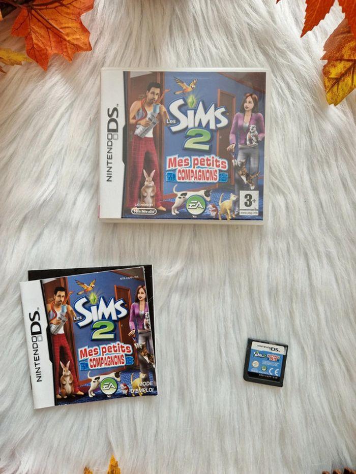 Jeu Nintendo DS les sims 2 - photo numéro 2