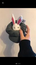 Lapin dans son chapeau de magicien