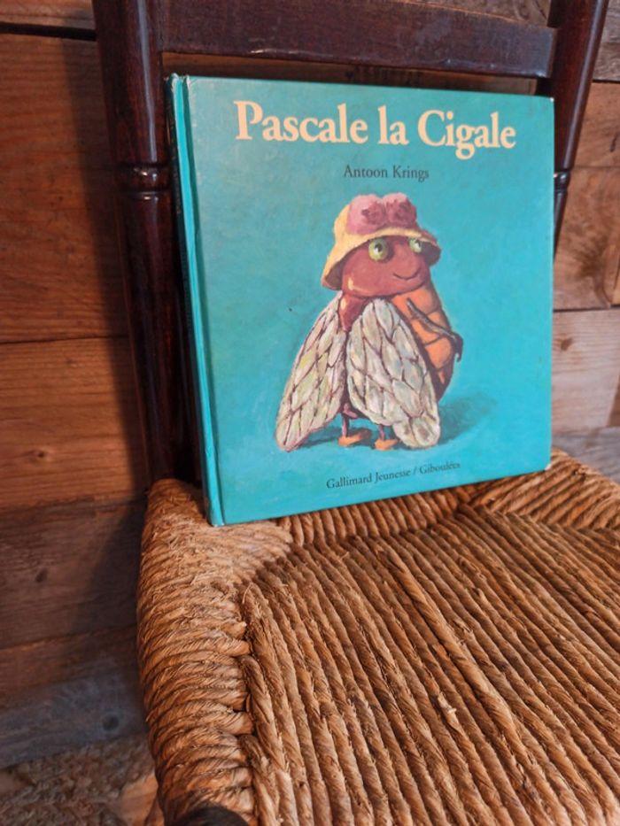 Livre drôles de petites bêtes Pascal la cigale BE - photo numéro 2