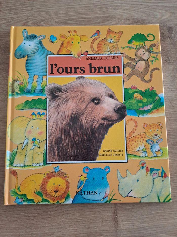 L'ours brun - photo numéro 1