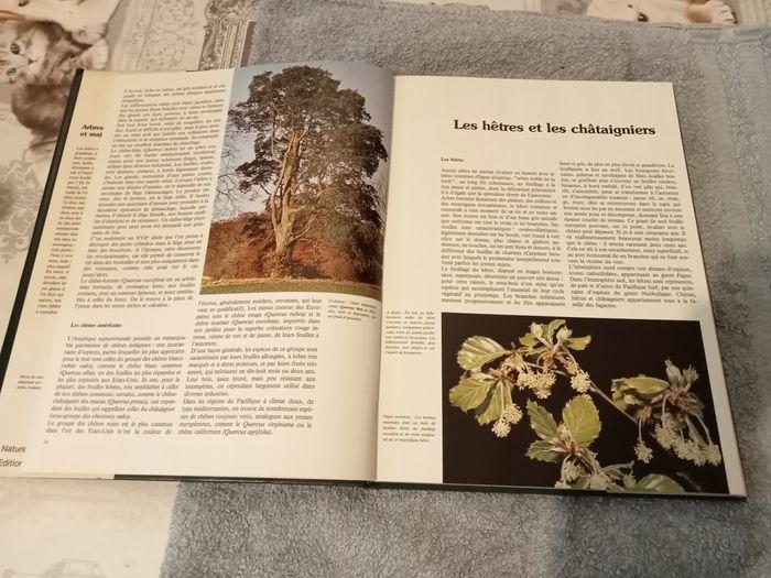 Livre sur les arbres - photo numéro 2