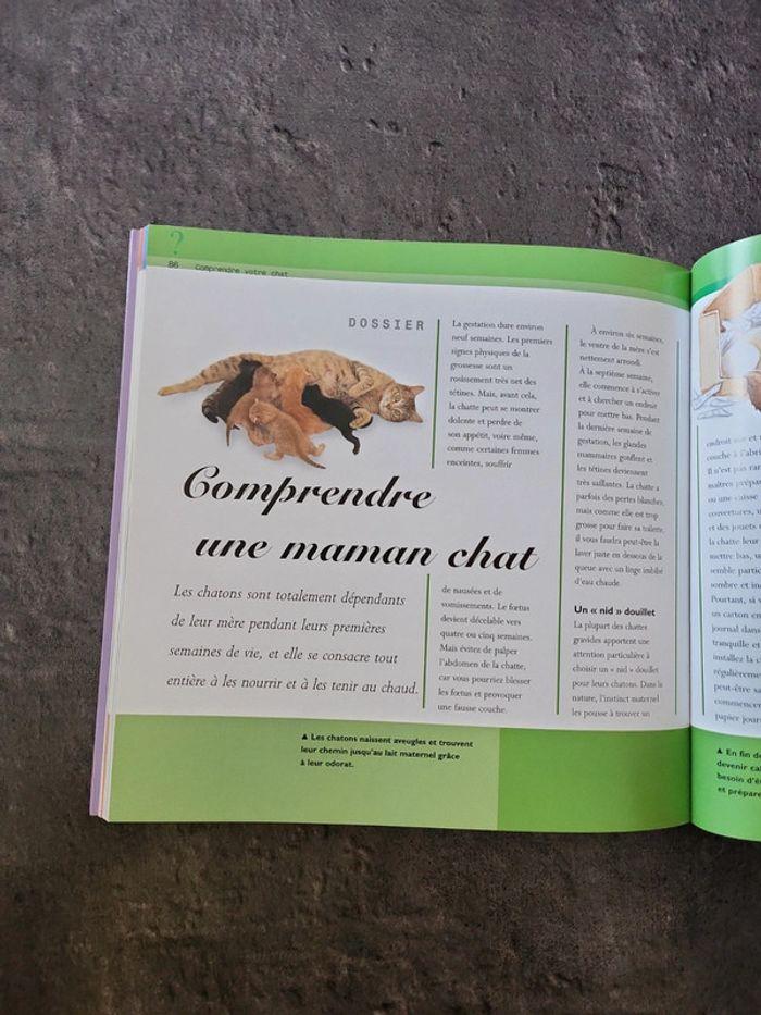 Livre 101 questions que votre chat aimerait vous poser Honor Head - photo numéro 3