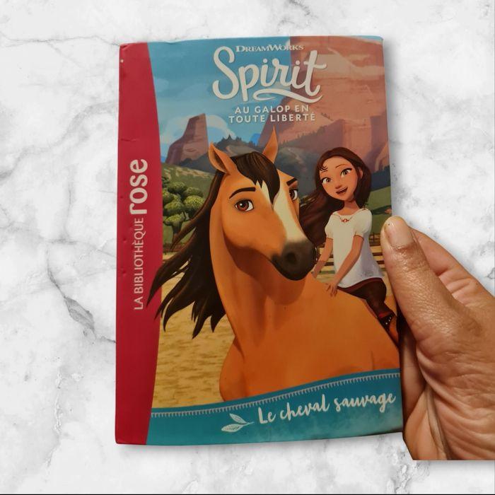 Livre spirit  tome 1 - photo numéro 1