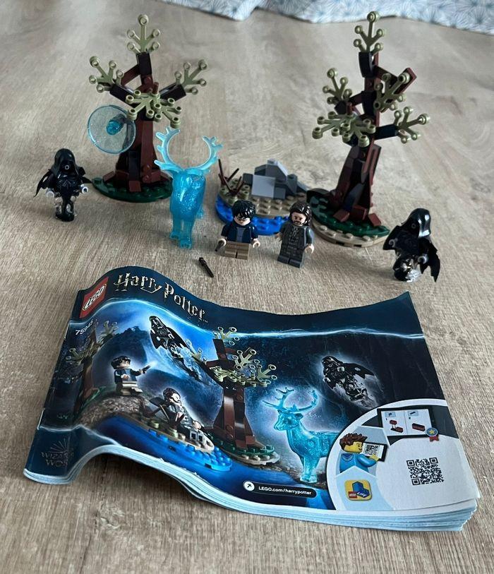 Lego Harry Potter : Expecto PatronumLego complet en très bon état. Il n'y a plus la boîte - photo numéro 1