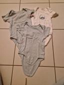 Lot de 3 bodies manche courte