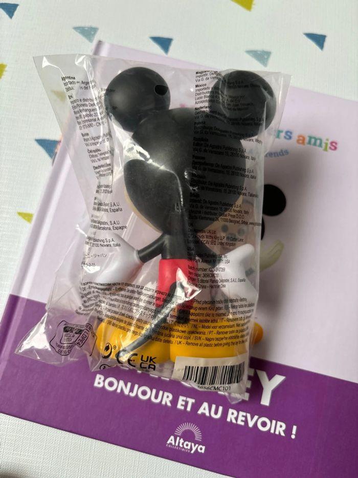 livre mickey - photo numéro 4