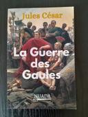 La guerre des gaules