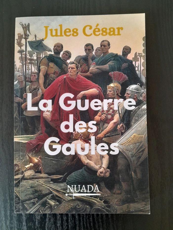 La guerre des gaules - photo numéro 1