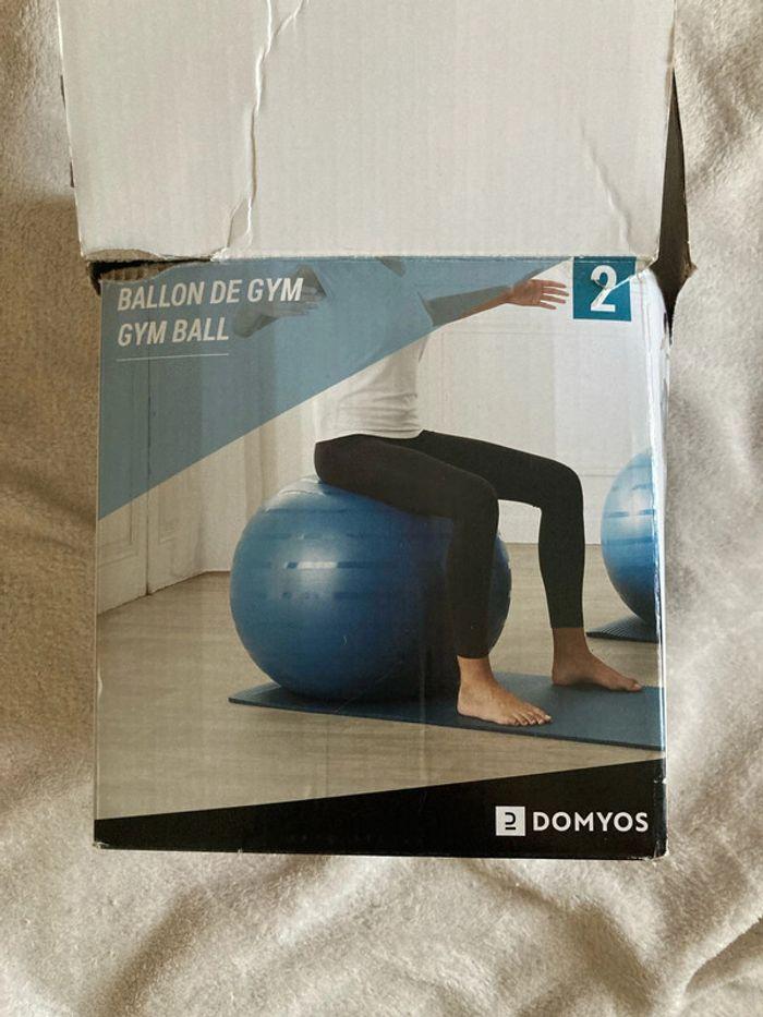 Ballon de gym - photo numéro 1