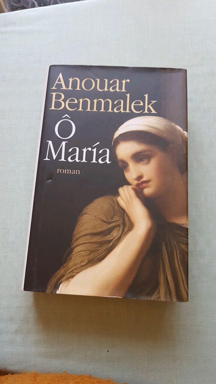 Livre benmalek - photo numéro 1