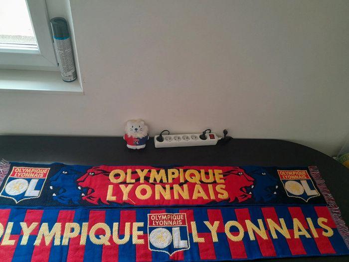 2 écharpe de l'Olympique Lyonnais