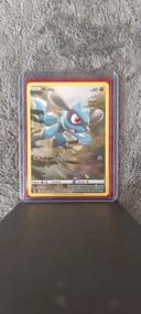 Pokémon Riolu GG26/GG70