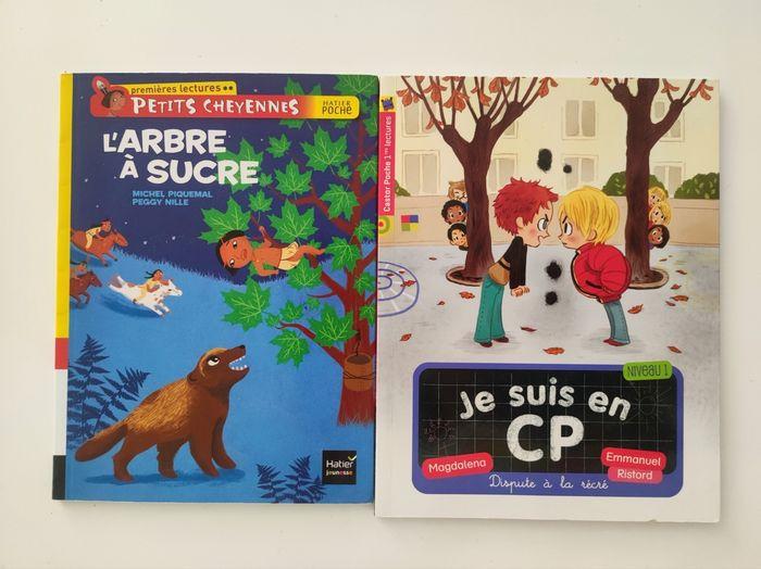 Lot livres 1ère lecture CP Dispute a la récré / L' arbre à Sucre - photo numéro 1