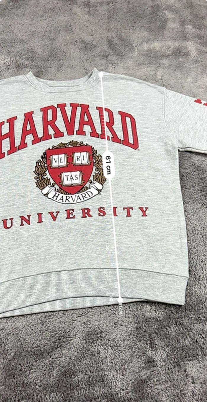 👕 Sweat à capuche Veste University Rare Vintage y2k 90s 2000s Harvard Gris Taille S 👕 - photo numéro 3