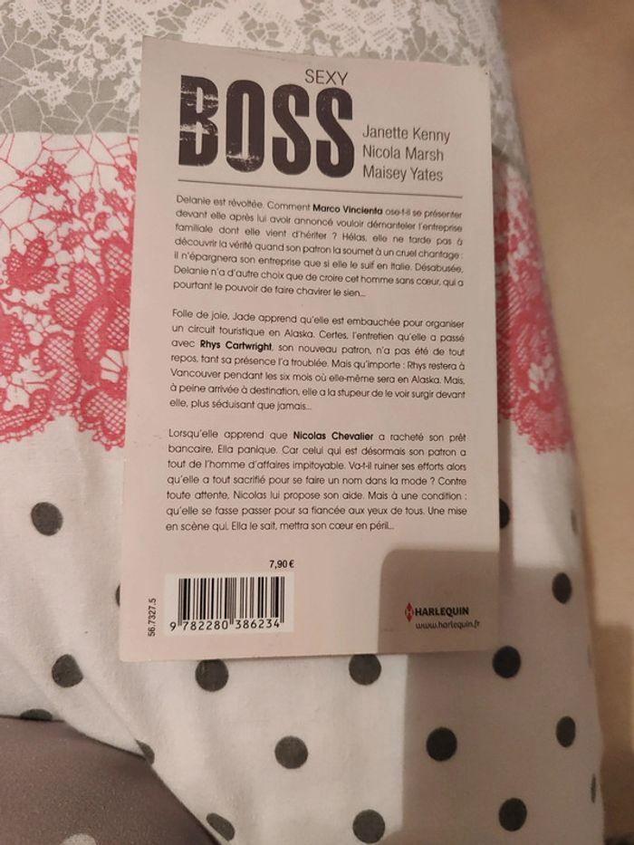 Sexy boss - photo numéro 2