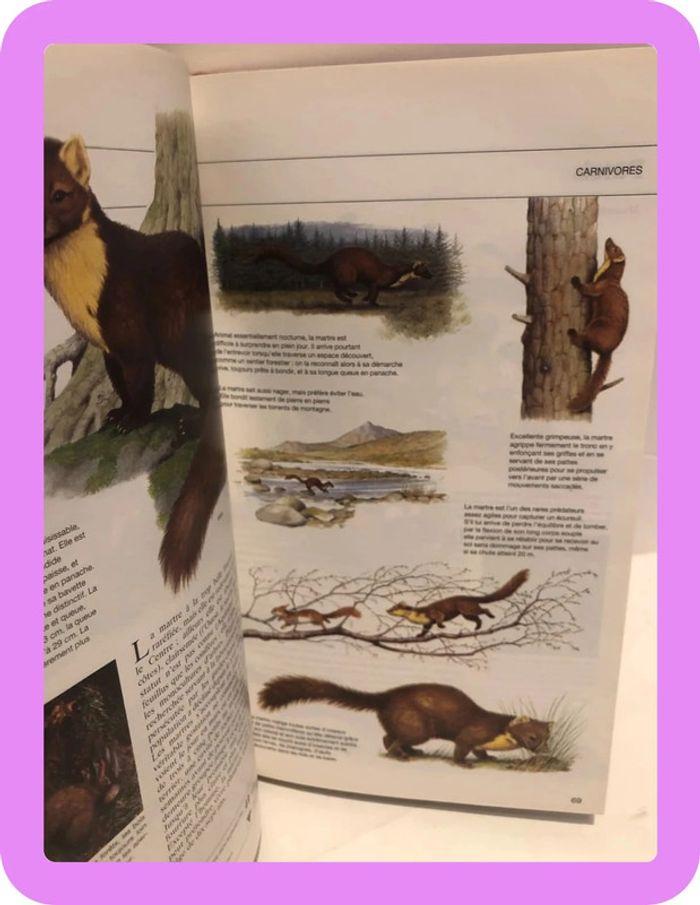 Livre guide des animaux des champs et des bois - photo numéro 9