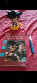 Le bourgeois gentilhomme