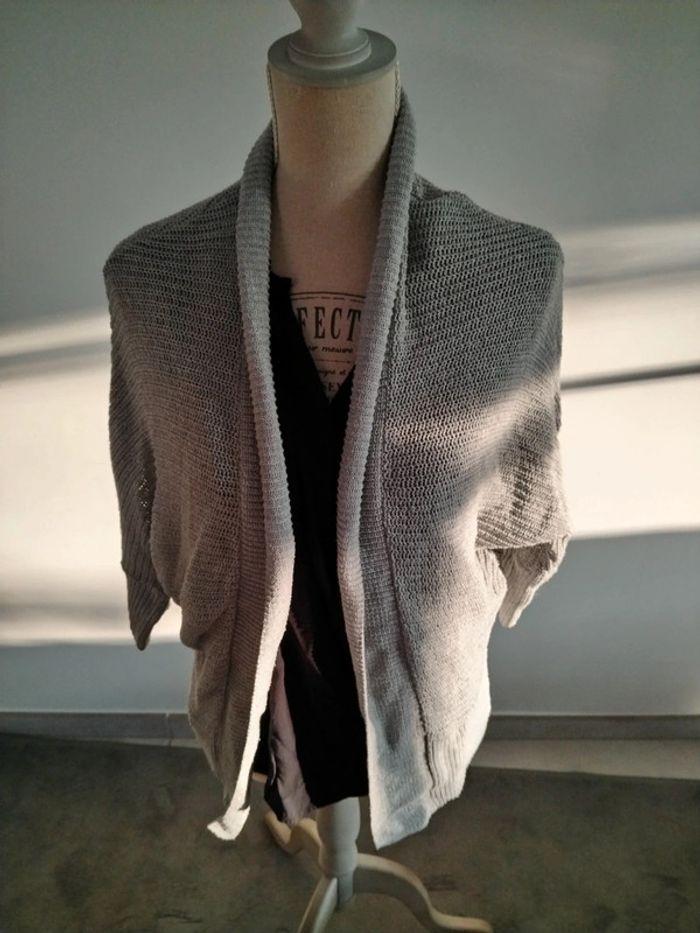 Gilet gris en maille taille S - photo numéro 1