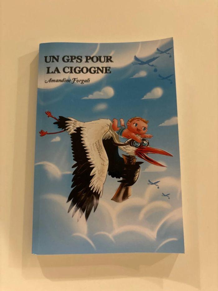 Livre Un GPS pour la cigogne - photo numéro 1