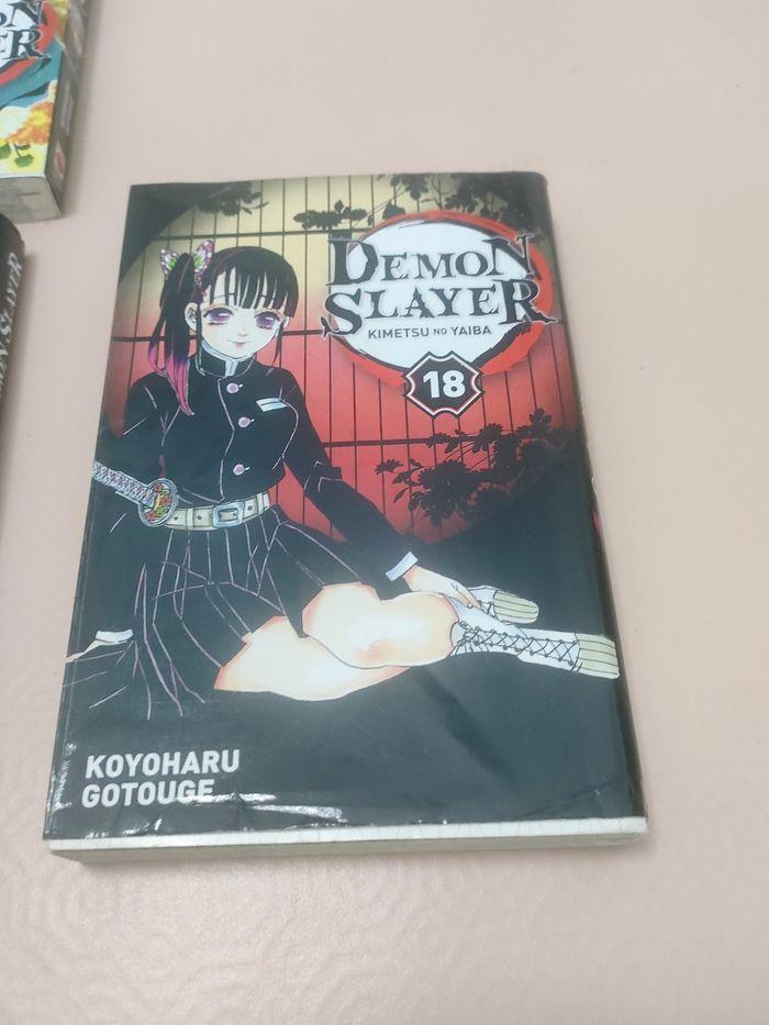 Démon slayer 11 mangas - photo numéro 10