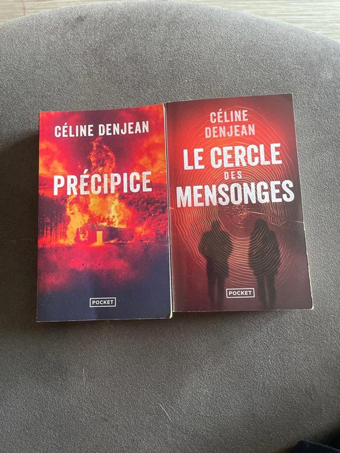 Lot de 2 Livre de Céline denjean - photo numéro 5