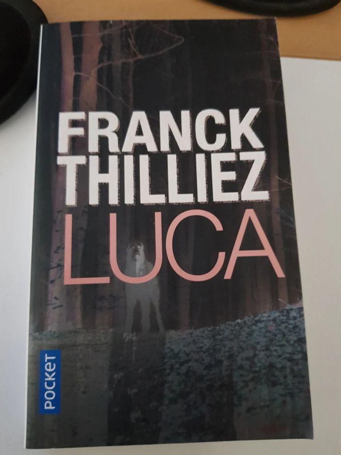 Livre Luca - Franck Thilliez - photo numéro 1