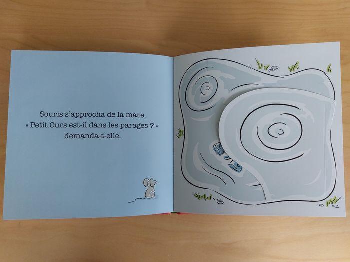 Livre "Où es-tu Petit Ours ?" Greg Foley - photo numéro 8