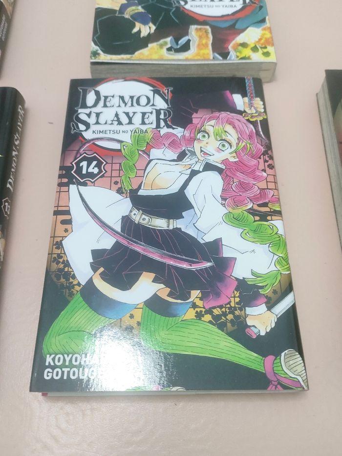 Démon slayer 11 mangas - photo numéro 9