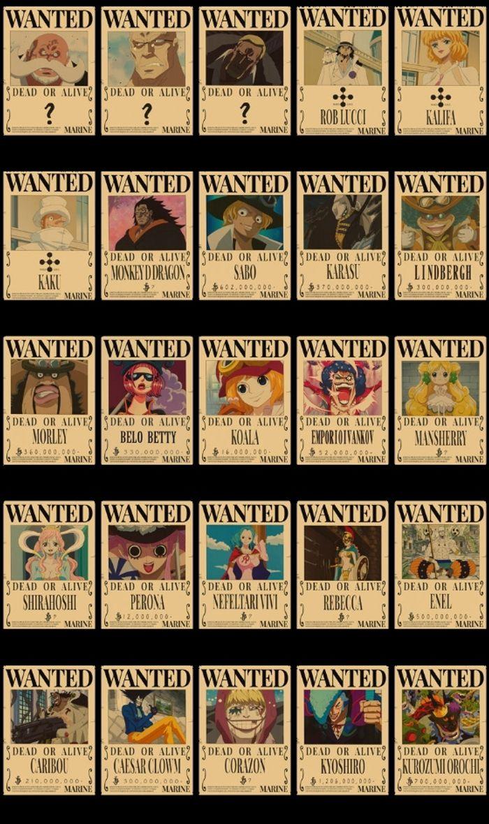 Poster wanted one piece - photo numéro 4