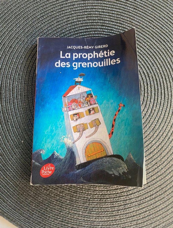 🌼 Livre enfants 《 La prophétie des grenouilles 》 - photo numéro 1