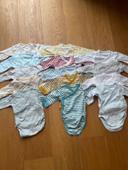 Lot de 14 bodies taille 6 mois