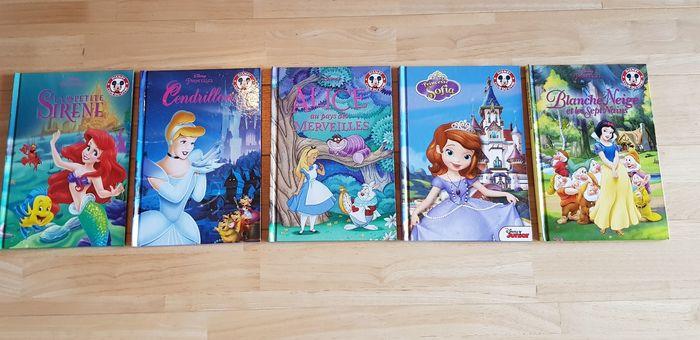 Lot de 5 livres princesses Disney