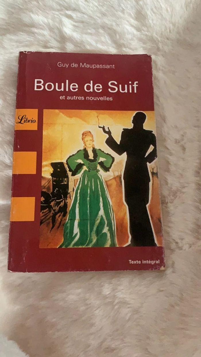 Boule de suif - photo numéro 1