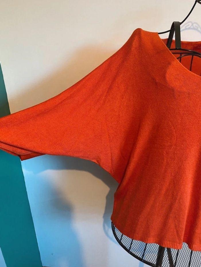 Pull fin chauve souri - orange - photo numéro 2