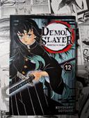 Demon slayer 12