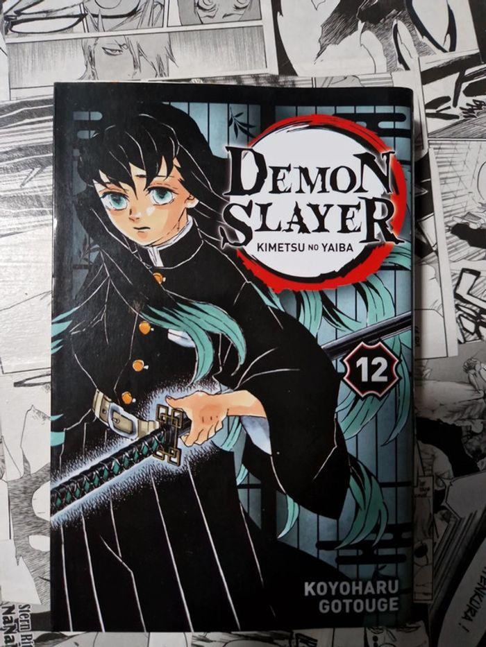 Demon slayer 12 - photo numéro 1