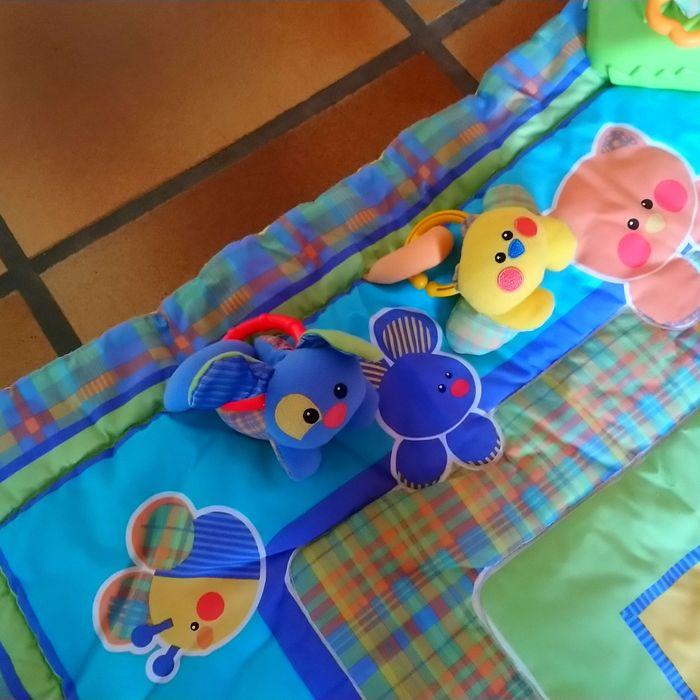 Tapis d'éveil Fisher-Price - photo numéro 5