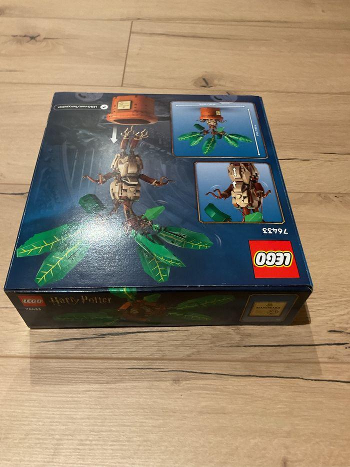 Lego Harry Potter 76433 Mandragore - photo numéro 4